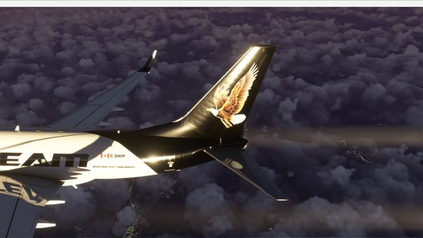 Boeing 737-700 · cargo · black, photograph 2287