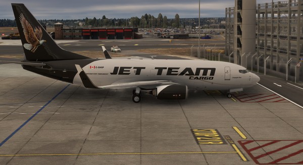 Boeing 737-700 · cargo · black, photograph 2308